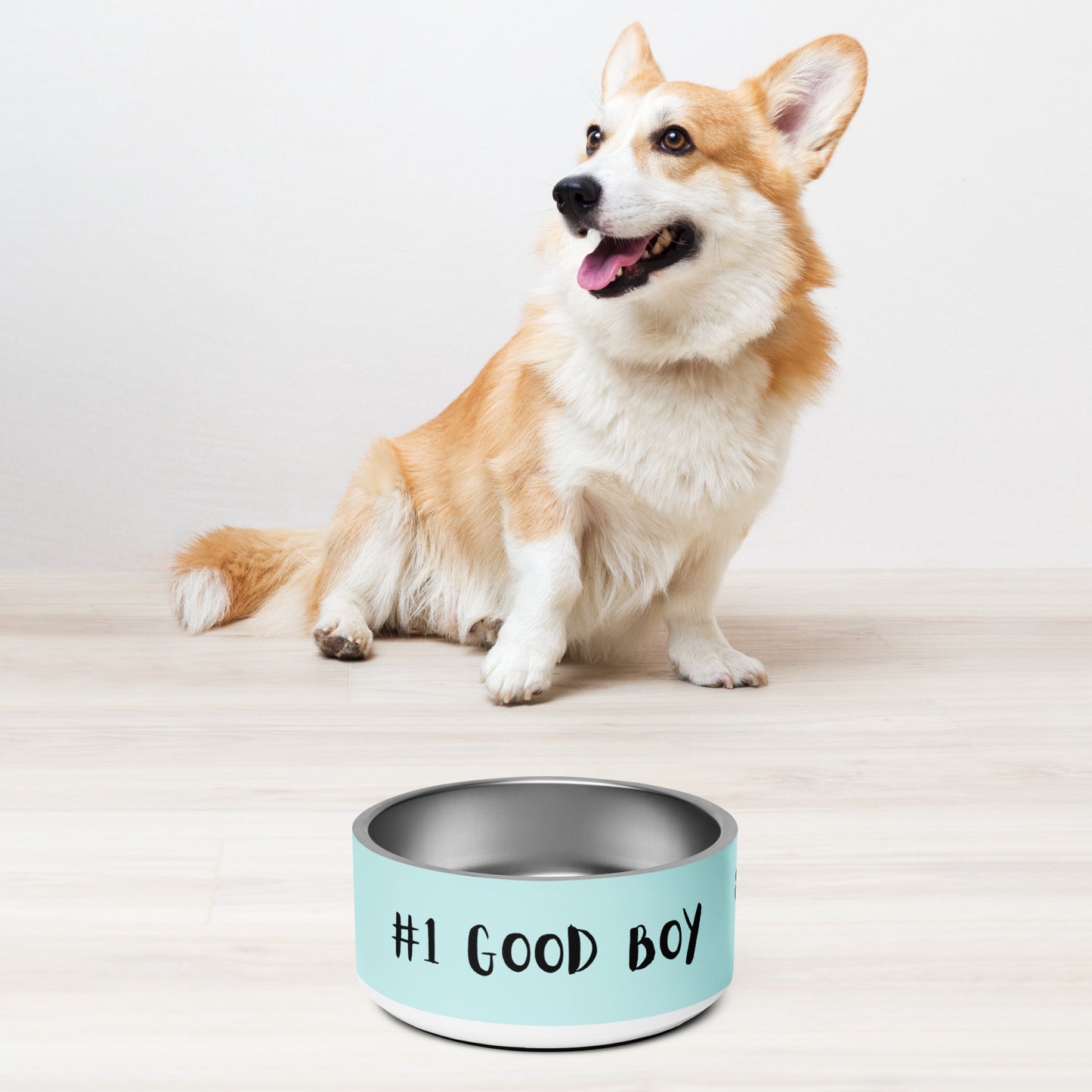 Pet bowl