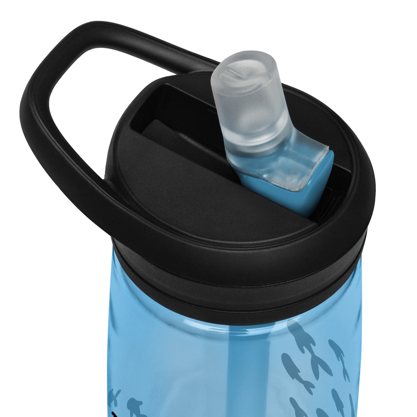 Sports water bottle