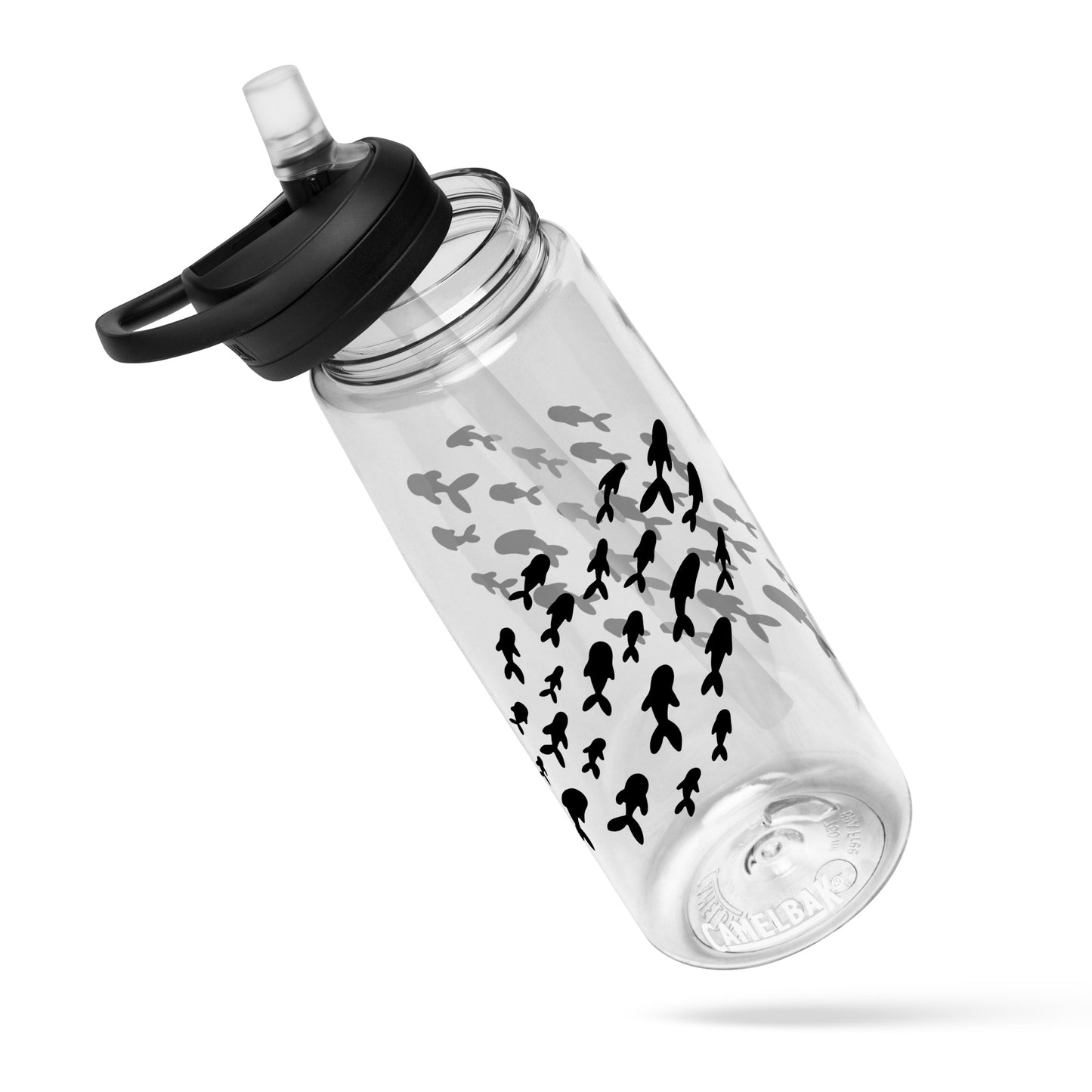 Sports water bottle