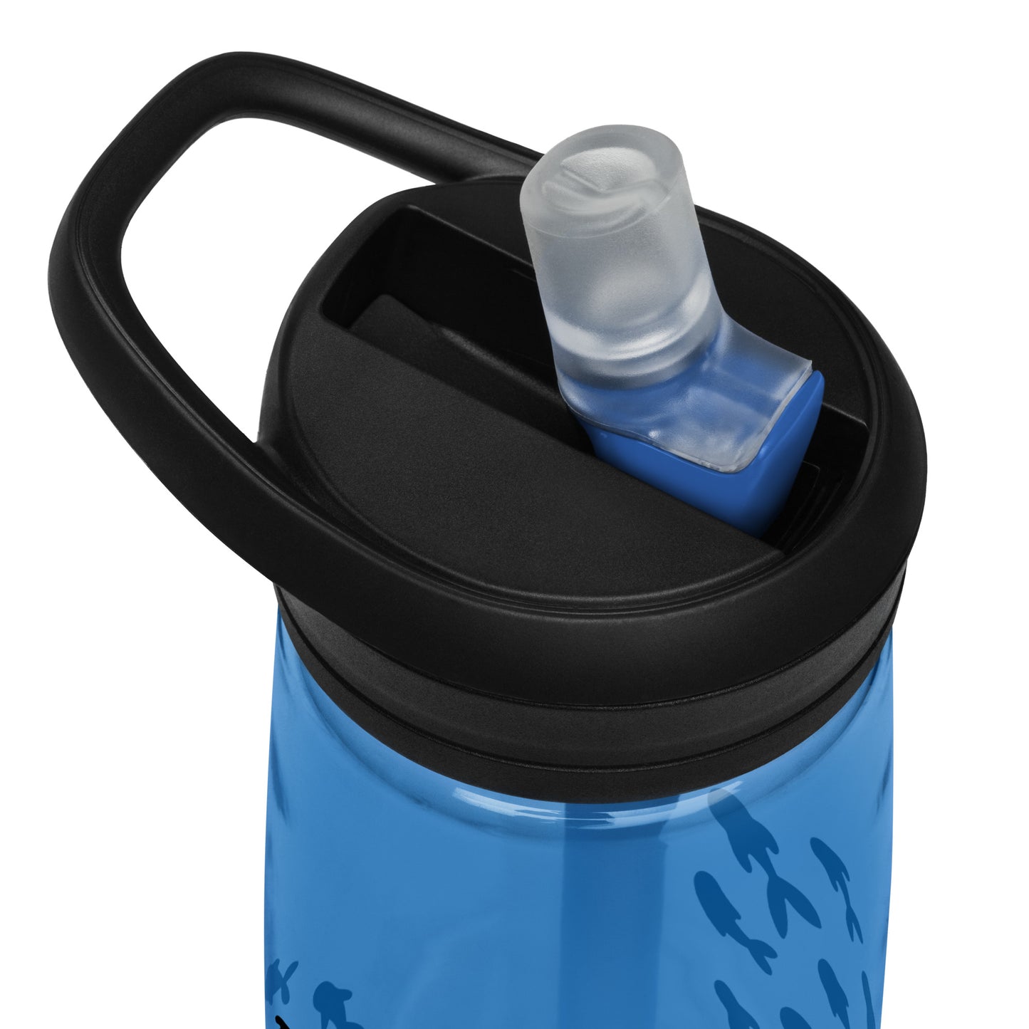 Sports water bottle